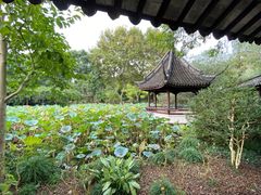 -上海醉白池公园