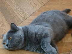 -Me Coffee下午茶艺术空间