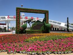 -石家庄市植物园
