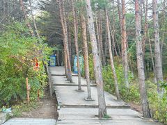 -帽儿山国家森林公园