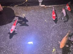 -美悦影院足道·自助美食·轻奢SPA(闽东广场店)