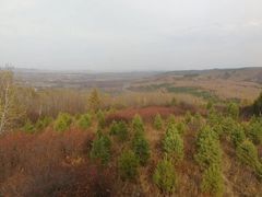 -塞罕坝国家级自然保护区