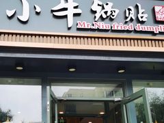 -小牛锅贴(西环路店)