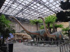 -国家自然博物馆