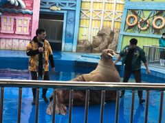 -华夏文旅海洋公园