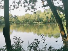 -西湖外事游船(花港观鱼码头)