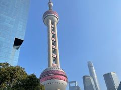-上海大自然野生昆虫馆(东方明珠·爬宠昆虫探索中心)