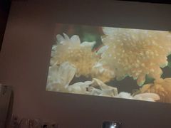 -霖公馆SPA·足道(普善路店)