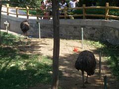 -石家庄市动物园