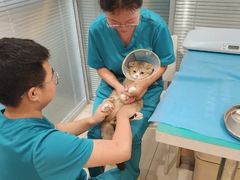 -美迦爱-牙专科·兔科·骨科诊疗中心(北苑店)