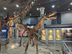 -国家自然博物馆