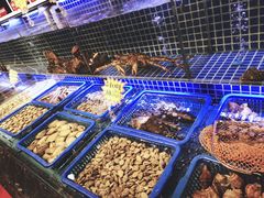 -必点海鲜·鲅鱼水饺(鞍山西道店)