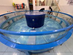 -雏芽婴幼儿游泳·小美医生小儿推拿(西村店)