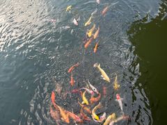 -水濂山森林公园