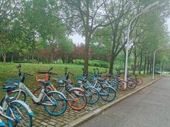 -上海财经大学(国定路校区)