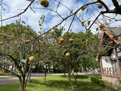 -太阳岛度假酒店