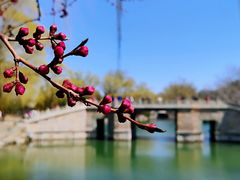 -颐和园