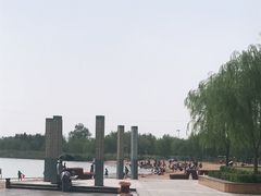 -东营·森林乐园