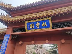 -桃花堤公园