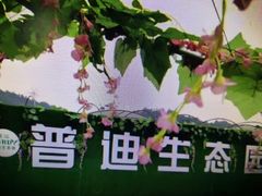 -普迪生态园