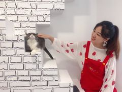 -白夜2D咖啡馆