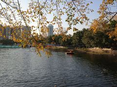 -荔湾湖公园