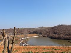 -郭场火锅鸡(梁山头店)
