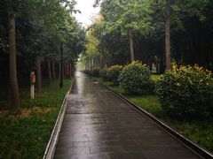 -唐城墙遗址公园