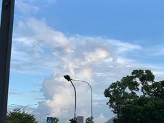 -木乃伊复仇过山车