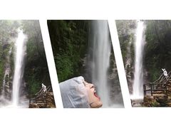 -莫里热带雨林景区