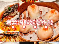 -醉辉皇原味海鲜江南菜(成都大魔方店)