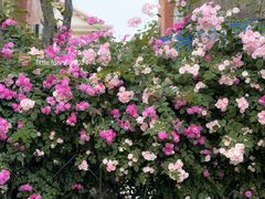 -常熟路(地铁站)