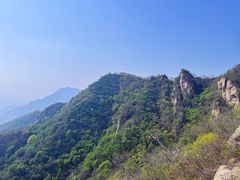 -大岭沟猕猴桃谷风景区