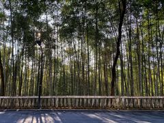 -西湖风景区十里琅珰-五云山