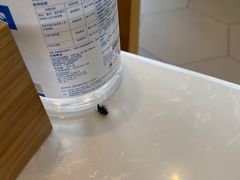 -味餐厅·海鲜·火锅·自助餐