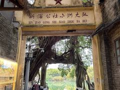 -小洲村