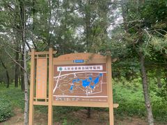 -森林公园(尖草坪区)