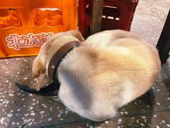 -夹夹大·蟹蟹大排档(财富又一城店)