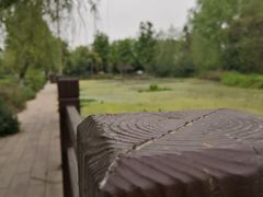 -白鹭湾湿地公园