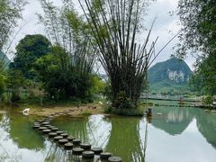 -靖西鹅泉风景区