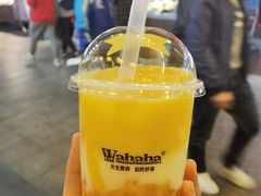 -娃哈哈·奶茶(武林店)