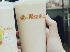 -猫的魔法密林(衣裳街店)