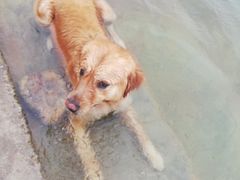 -仙海旅游度假区