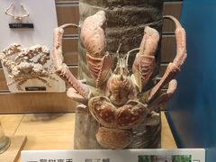 -青岛海底世界-水族馆