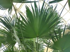 -石家庄市植物园