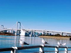 -台场海滨公园船码头