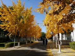 -东北大学(南湖校区)