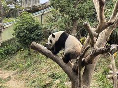 -宁波野生动物园