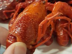 -虎虎龙虾大排档(双井店)