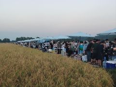 -崖口煲仔饭